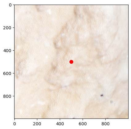 ../_images/a4502bf711c5412ab9b325b18d6e554300f1b40609fea2d3823641e6a0b165fa.png